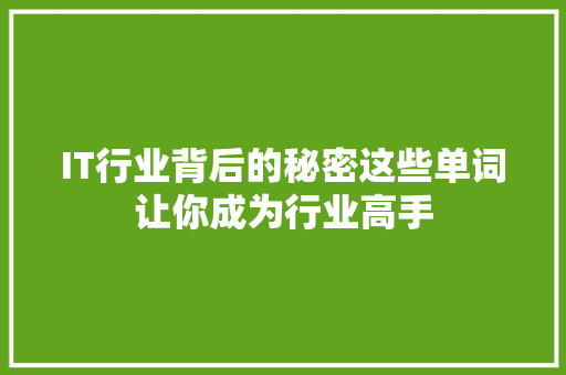 IT行业背后的秘密这些单词让你成为行业高手