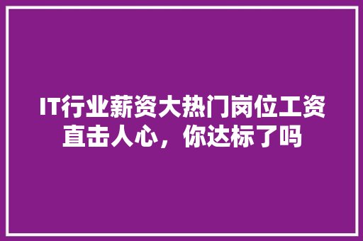IT行业薪资大热门岗位工资直击人心，你达标了吗 项目报告