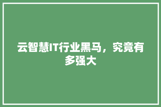 云智慧IT行业黑马，究竟有多强大