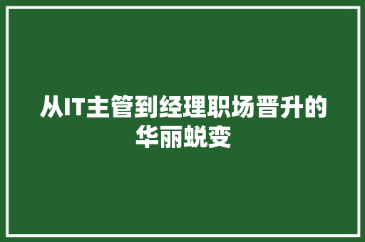 从IT主管到经理职场晋升的华丽蜕变