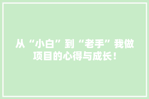 从“小白”到“老手”我做项目的心得与成长！
