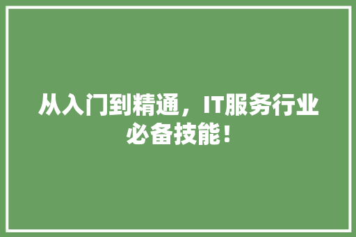 从入门到精通，IT服务行业必备技能！ 市场营销范文