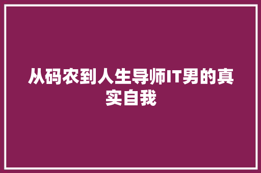 从码农到人生导师IT男的真实自我 商务信函