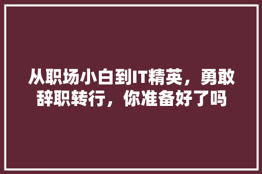 从职场小白到IT精英，勇敢辞职转行，你准备好了吗