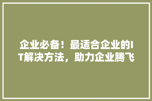 企业必备！最适合企业的IT解决方法，助力企业腾飞！