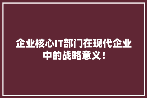 企业核心IT部门在现代企业中的战略意义！ 网站建设