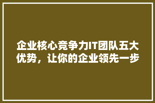 企业核心竞争力IT团队五大优势，让你的企业领先一步！ 项目报告