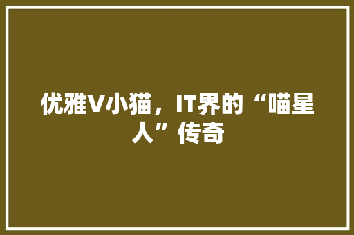 优雅V小猫，IT界的“喵星人”传奇 前端技术