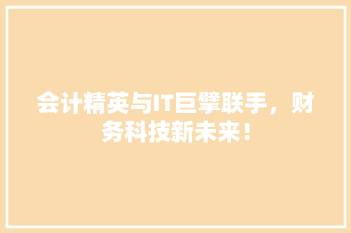 会计精英与IT巨擘联手，财务科技新未来！ 前端技术