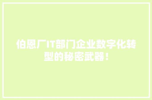 伯恩厂IT部门企业数字化转型的秘密武器！ 前端技术