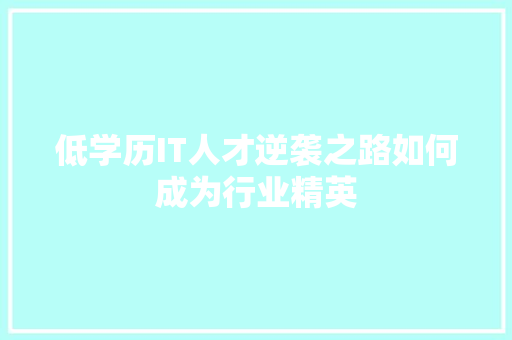 低学历IT人才逆袭之路如何成为行业精英 市场营销范文
