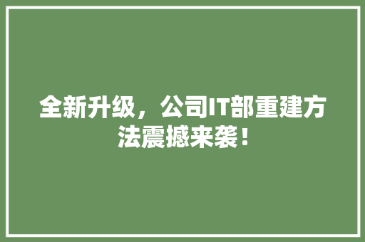 全新升级，公司IT部重建方法震撼来袭！ 商务信函