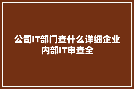 公司IT部门查什么详细企业内部IT审查全 项目报告