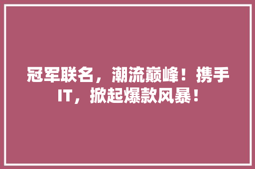 冠军联名，潮流巅峰！携手IT，掀起爆款风暴！ 缓存Redis