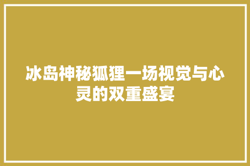 冰岛神秘狐狸一场视觉与心灵的双重盛宴 项目报告