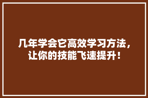 几年学会它高效学习方法，让你的技能飞速提升！