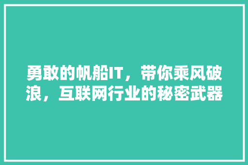 勇敢的帆船IT，带你乘风破浪，互联网行业的秘密武器！ 市场营销范文