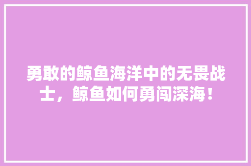 勇敢的鲸鱼海洋中的无畏战士，鲸鱼如何勇闯深海！ 市场营销范文