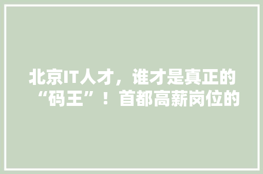 北京IT人才，谁才是真正的“码王”！首都高薪岗位的神秘面纱！