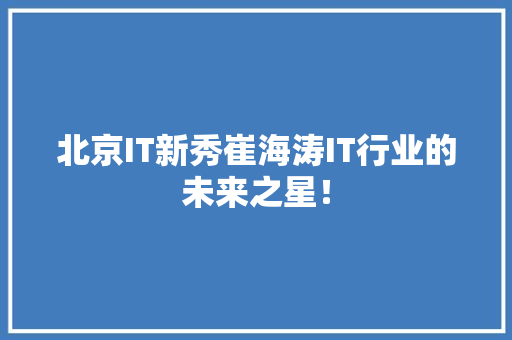 北京IT新秀崔海涛IT行业的未来之星！