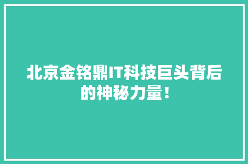 北京金铭鼎IT科技巨头背后的神秘力量！ 前端技术