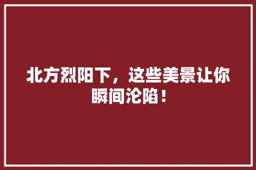 北方烈阳下，这些美景让你瞬间沦陷！ 前端技术