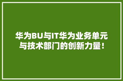 华为BU与IT华为业务单元与技术部门的创新力量！