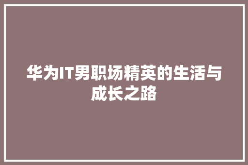华为IT男职场精英的生活与成长之路 商务信函