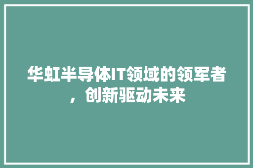 华虹半导体IT领域的领军者，创新驱动未来