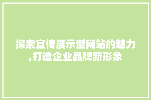 探索宣传展示型网站的魅力,打造企业品牌新形象 项目报告