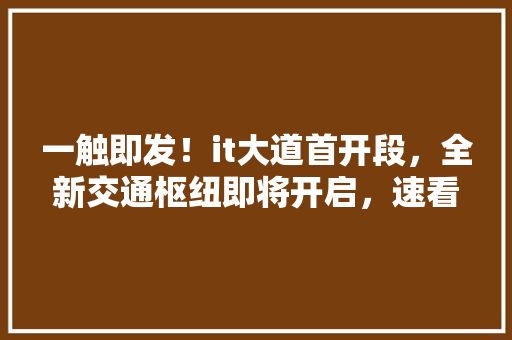 一触即发！it大道首开段，全新交通枢纽即将开启，速看！