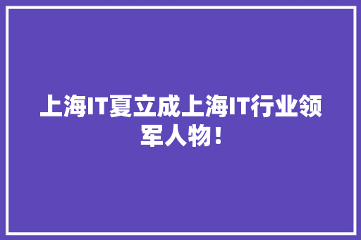 上海IT夏立成上海IT行业领军人物！ 项目报告