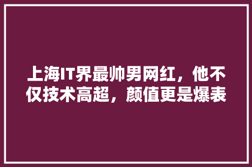 上海IT界最帅男网红，他不仅技术高超，颜值更是爆表！ 后端技术