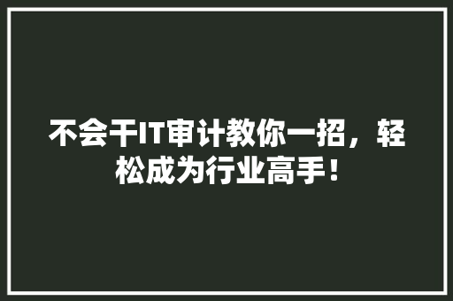 不会干IT审计教你一招，轻松成为行业高手！