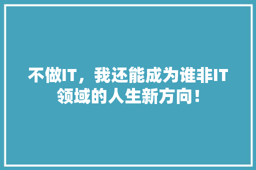 不做IT，我还能成为谁非IT领域的人生新方向！ 市场营销范文