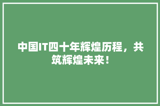 中国IT四十年辉煌历程，共筑辉煌未来！ MySQL