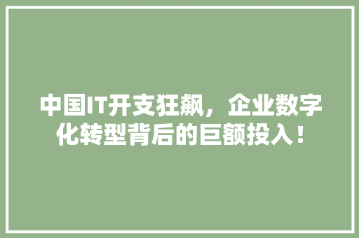 中国IT开支狂飙，企业数字化转型背后的巨额投入！ 后端技术