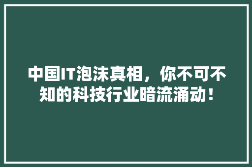 中国IT泡沫真相，你不可不知的科技行业暗流涌动！ 商务信函