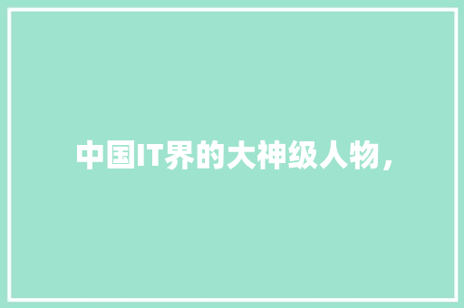 中国IT界的大神级人物， 缓存Redis