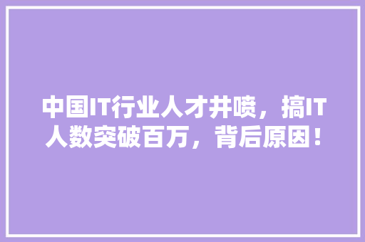 中国IT行业人才井喷，搞IT人数突破百万，背后原因！ 前端技术