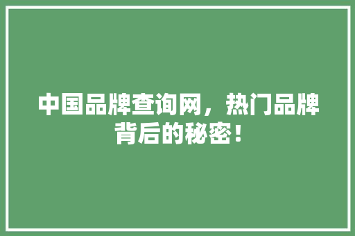中国品牌查询网，热门品牌背后的秘密！