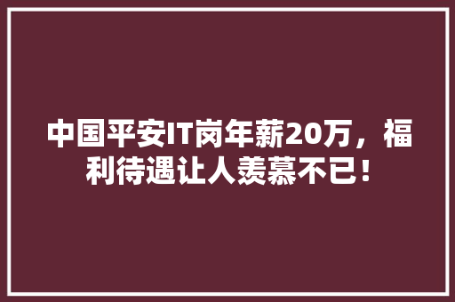 中国平安IT岗年薪20万，福利待遇让人羡慕不已！ 前端技术
