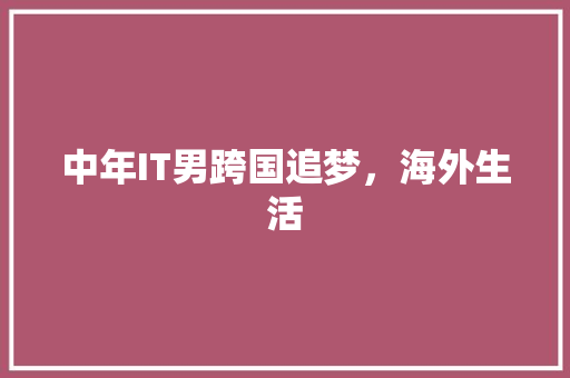 中年IT男跨国追梦，海外生活 响应式设计