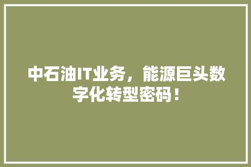 中石油IT业务，能源巨头数字化转型密码！