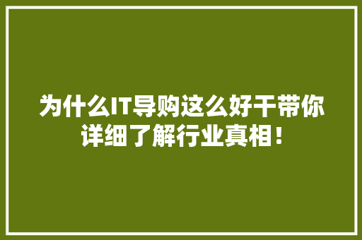 为什么IT导购这么好干带你详细了解行业真相！ 市场营销范文