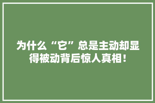 为什么“它”总是主动却显得被动背后惊人真相！