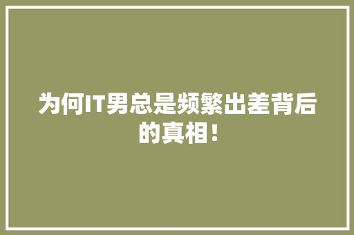 为何IT男总是频繁出差背后的真相！ 网站建设