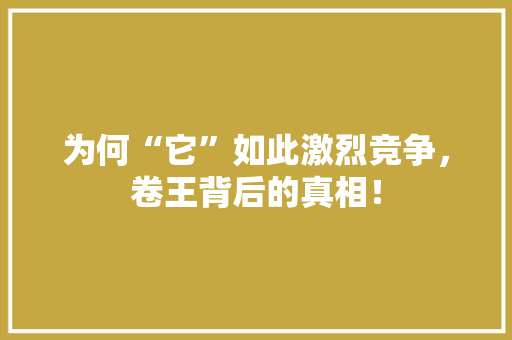 为何“它”如此激烈竞争，卷王背后的真相！