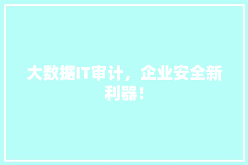 大数据IT审计，企业安全新利器！ 前端技术