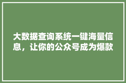 大数据查询系统一键海量信息，让你的公众号成为爆款！